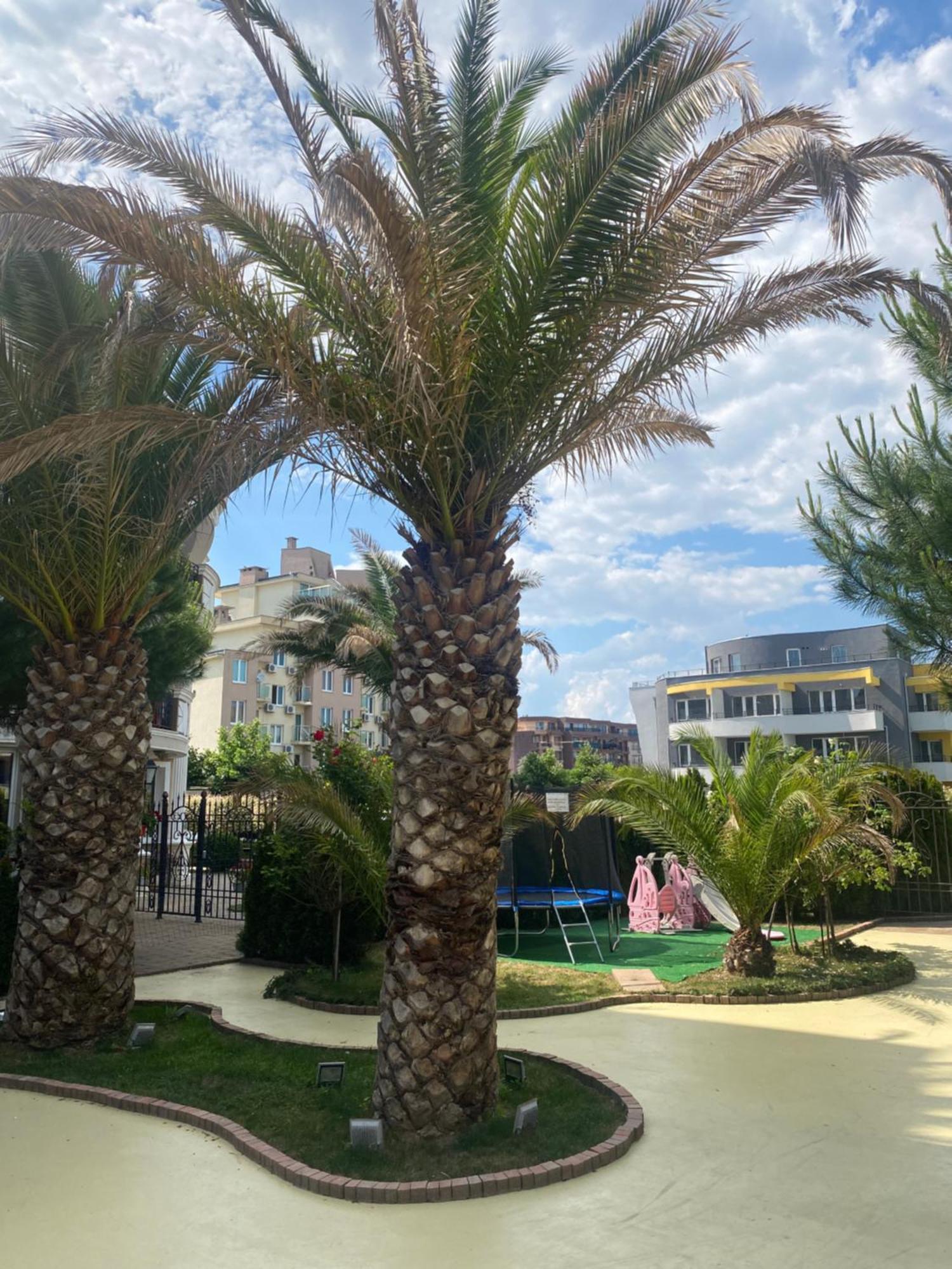 Messembria A309 Studio Sunny Beach Exterior photo